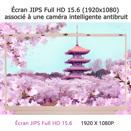 Ordinateur Portable Ultra-Fin 15,6",Processeur N5100 (2,8 GHz), 16 Go de RAM, 512 Go SSD, 1920x1080 FHD, 6000 mAh, WiFi Double Bande, Bluetooth 4.2, Webcam, 1,6 kg Léger